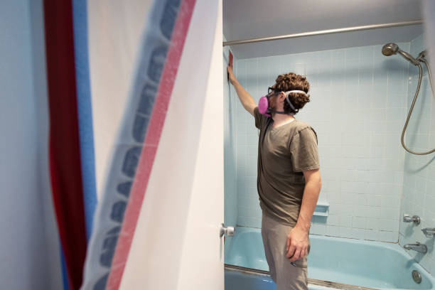 Reliable Mead Valley, CA Mold Removal Solutions